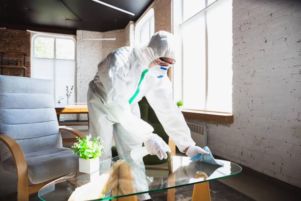 Why You Should Choose Our Mold Remediation Services in Carrollton, AL